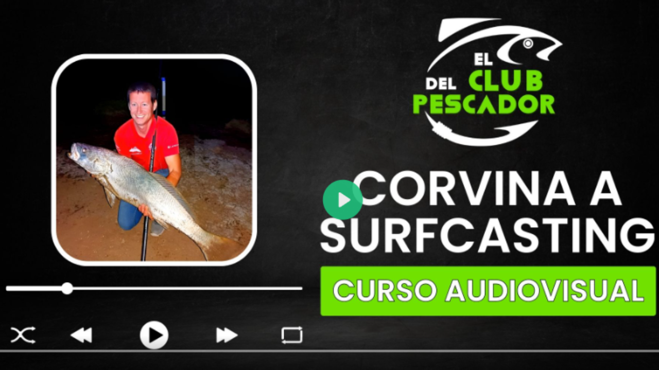 TOUR DE LA CORVINA CAMPUS