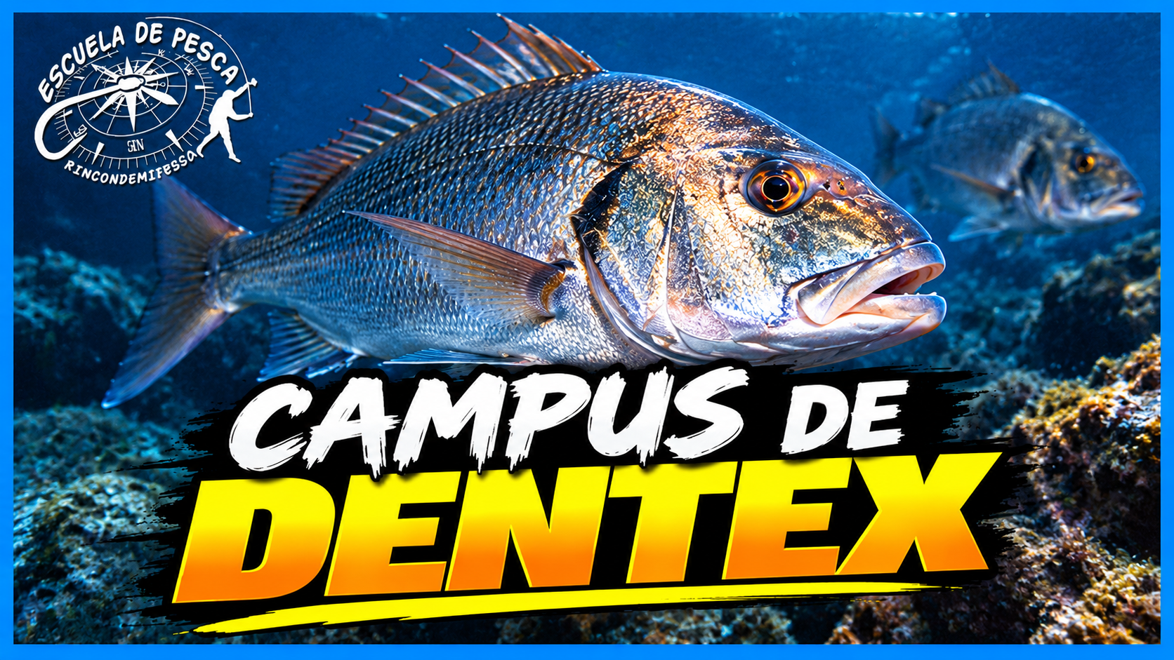 CAMPUS DE ENTRENAMIENTO